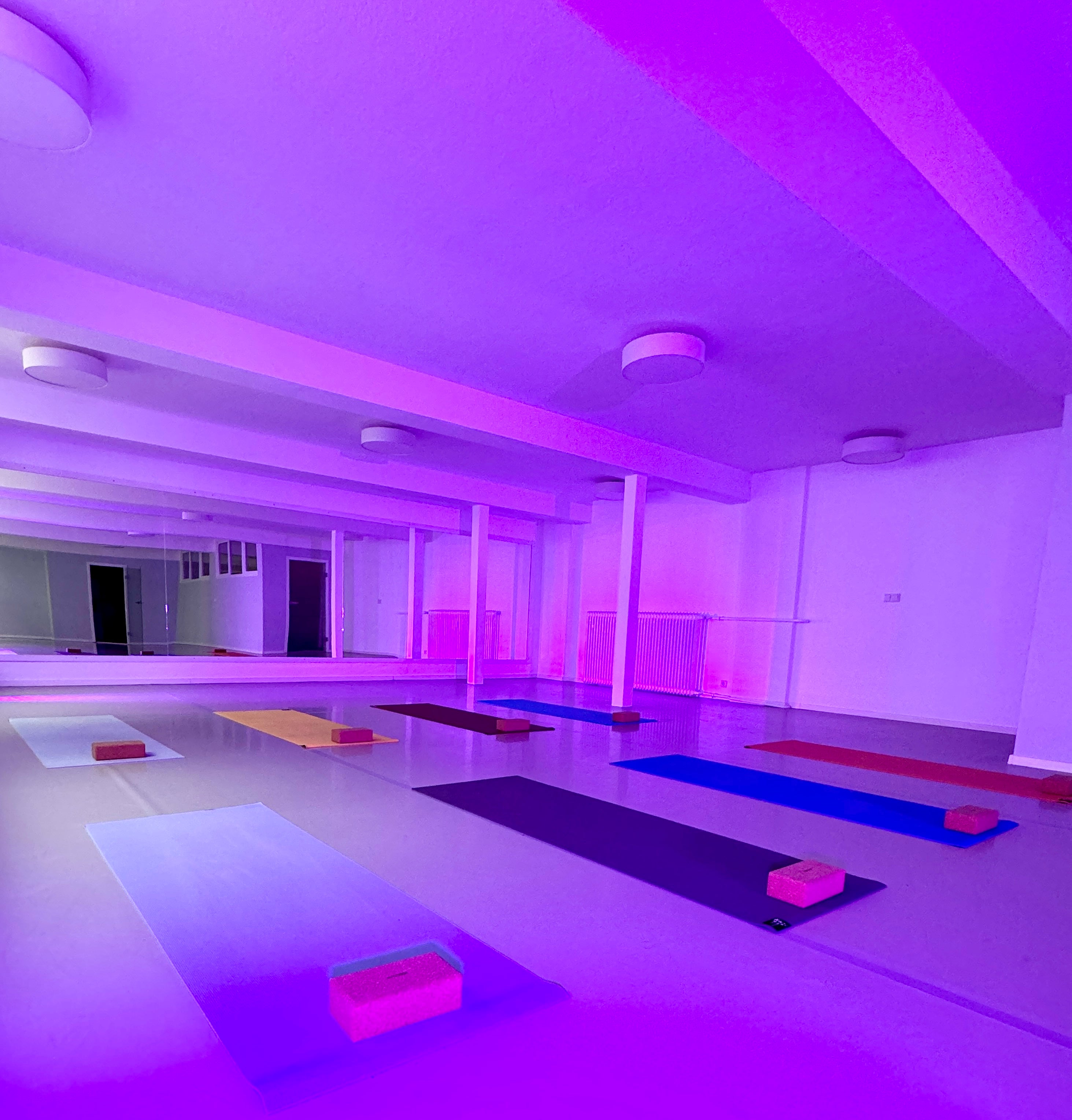 Trainingsraum des Aligna Pilates Studios in Frankfurt – moderner, heller Raum für effektives Pilates-Training in Sachsenhausen.